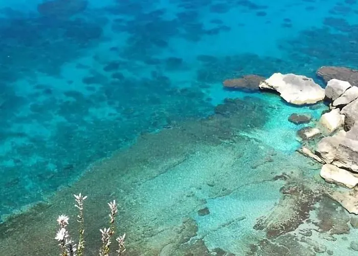 לינה וארוחת בוקר Mery Mileto